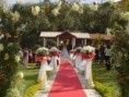 /album/galeria-de-fotos/casamento-campo-jpg/